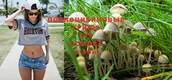первитин Абинск