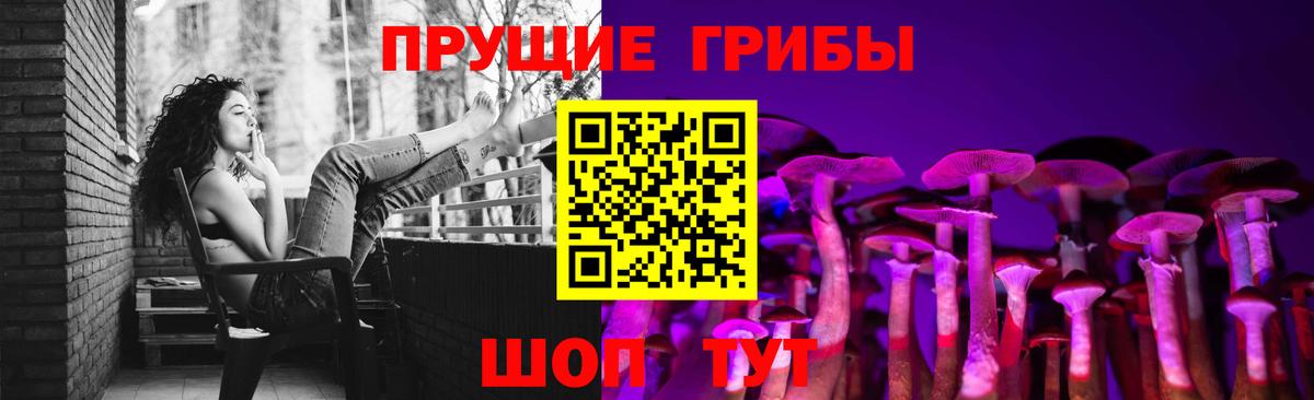 Галлюциногенные грибы прущие грибы Сертолово